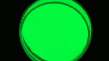 Photoluminescent Pigment Luminous Powder for Party